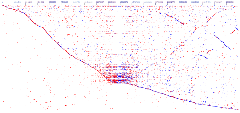 Arabidopsis thaliana chromosome 1 covering by repeats sequences
